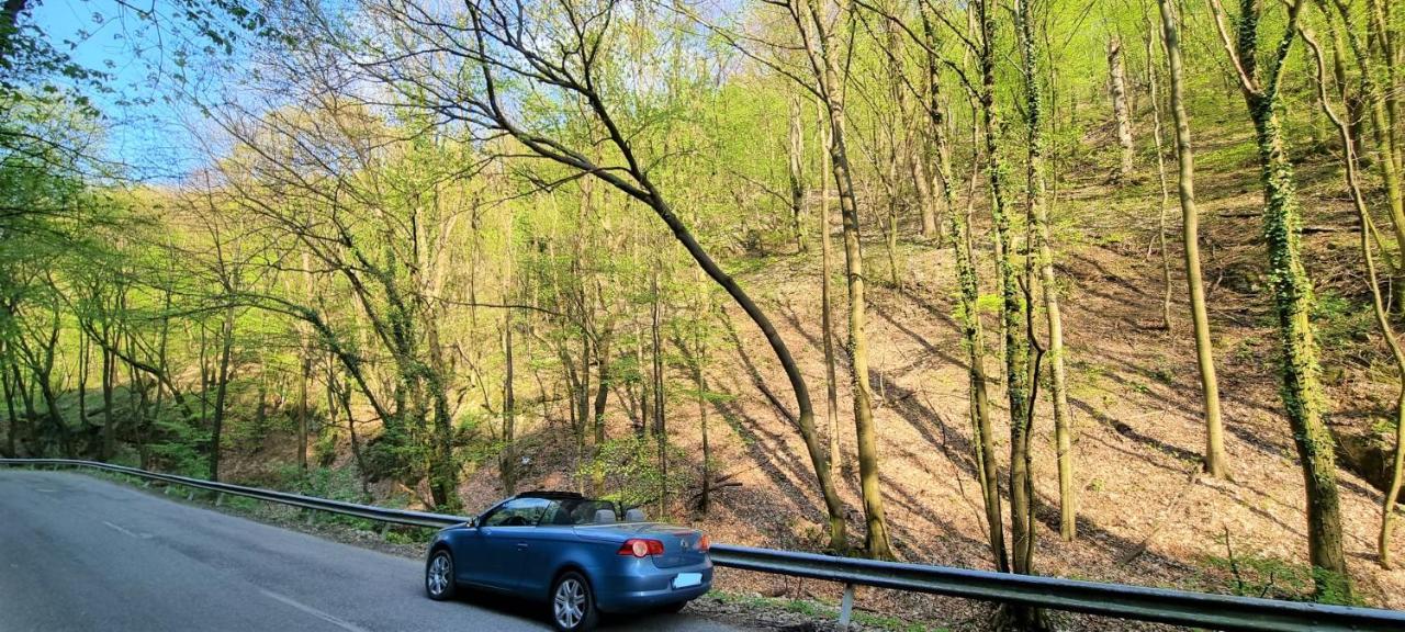 Hos-Cegledi Vendeghaz Miskolc -Oenallo Otthon, Mely Csak Az Oenoeke Exterior photo